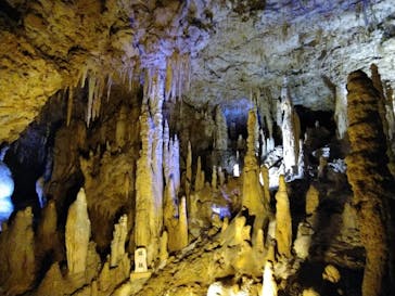 おきなわワールドに投稿された画像（2021/11/27）