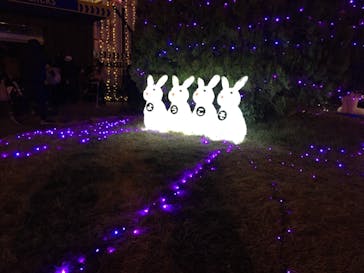 東武動物公園に投稿された画像（2021/11/27）