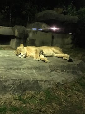 東武動物公園に投稿された画像（2021/11/27）