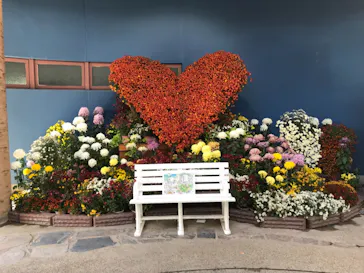 ひらかたパークに投稿された画像（2021/11/27）