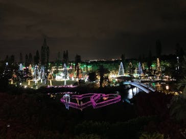 美らヤシパークオキナワ・東南植物楽園に投稿された画像（2021/11/27）