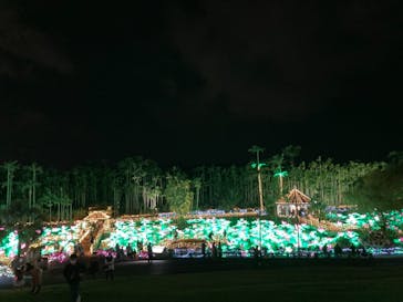 美らヤシパークオキナワ・東南植物楽園に投稿された画像（2021/11/27）