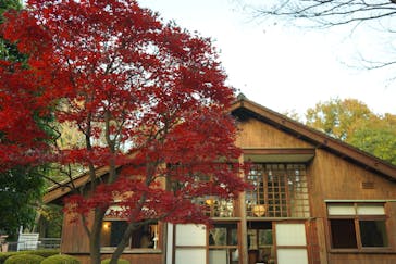 江戸東京たてもの園に投稿された画像（2021/11/27）
