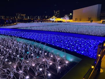 東京メガイルミに投稿された画像（2021/11/27）