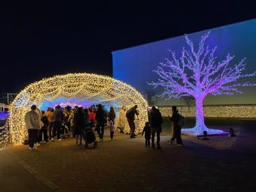 東京メガイルミに投稿された画像（2021/11/27）