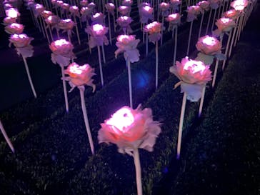 東京メガイルミに投稿された画像（2021/11/27）