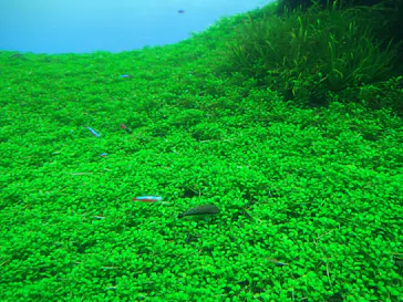 すみだ水族館に投稿された画像（2021/11/27）