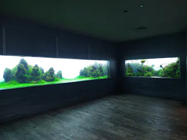 すみだ水族館に投稿された画像（2021/11/27）