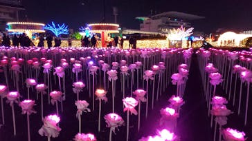 東京メガイルミに投稿された画像（2021/11/27）