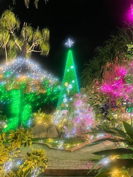 美らヤシパークオキナワ・東南植物楽園に投稿された画像（2021/11/27）