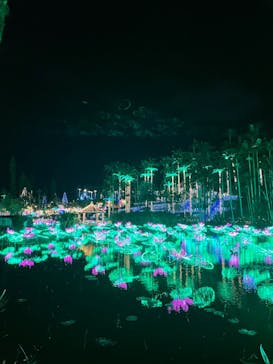 美らヤシパークオキナワ・東南植物楽園に投稿された画像（2021/11/27）