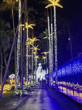 美らヤシパークオキナワ・東南植物楽園に投稿された画像（2021/11/27）