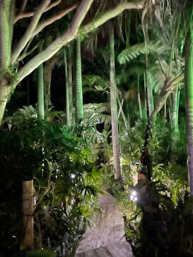 美らヤシパークオキナワ・東南植物楽園に投稿された画像（2021/11/27）