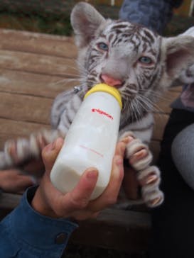 しろとり動物園に投稿された画像（2021/11/27）