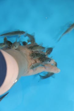 越前松島水族館に投稿された画像（2021/11/27）