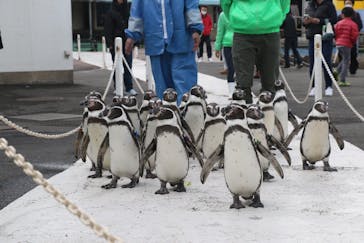 越前松島水族館に投稿された画像（2021/11/27）