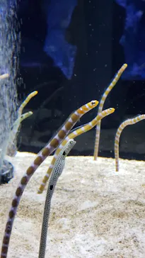 すみだ水族館に投稿された画像（2021/11/27）