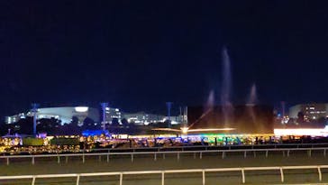 東京メガイルミに投稿された画像（2021/11/27）