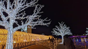 東京メガイルミに投稿された画像（2021/11/27）