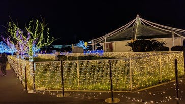 東京メガイルミに投稿された画像（2021/11/27）