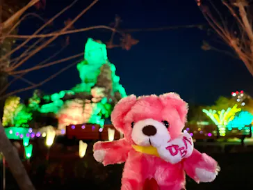 ひらかたパークに投稿された画像（2021/11/27）