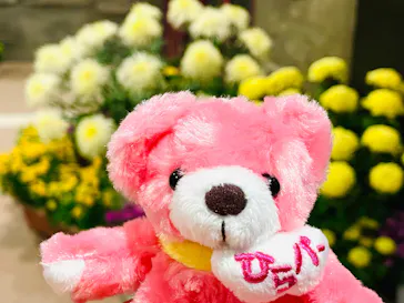 ひらかたパークに投稿された画像（2021/11/27）