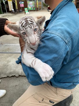 しろとり動物園に投稿された画像（2021/11/27）