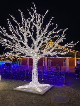 東京メガイルミに投稿された画像（2021/11/27）