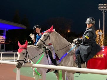 東京メガイルミに投稿された画像（2021/11/27）