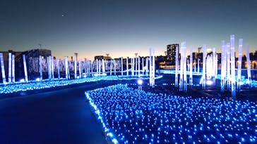 東京メガイルミに投稿された画像（2021/11/27）