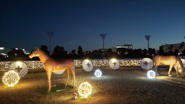 東京メガイルミに投稿された画像（2021/11/27）