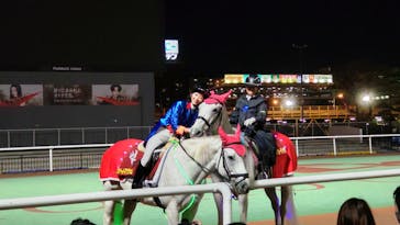 東京メガイルミに投稿された画像（2021/11/27）