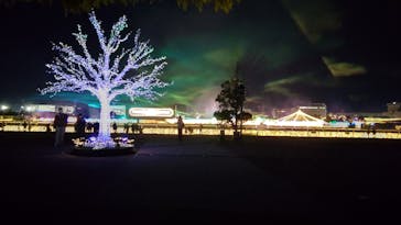 東京メガイルミに投稿された画像（2021/11/27）