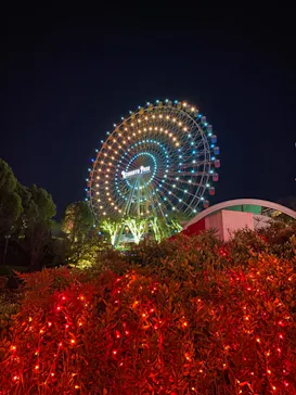 ひらかたパークに投稿された画像（2021/11/27）