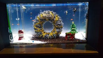 大分マリーンパレス水族館 「うみたまご」に投稿された画像（2021/11/27）