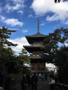 三溪園に投稿された画像（2021/11/27）