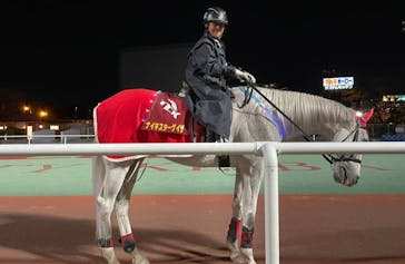 東京メガイルミに投稿された画像（2021/11/27）