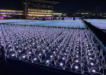 東京メガイルミに投稿された画像（2021/11/27）