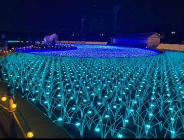 東京メガイルミに投稿された画像（2021/11/27）