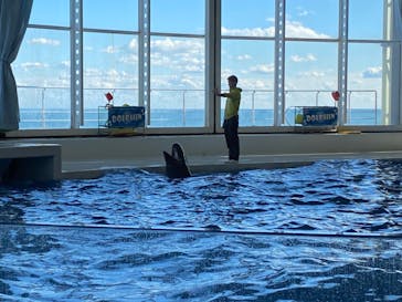 アクアワールド茨城県大洗水族館に投稿された画像（2021/11/27）