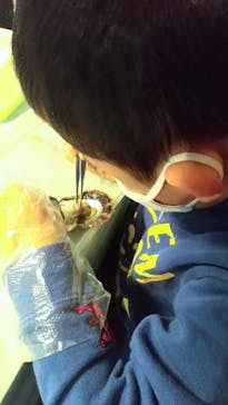 しながわ水族館に投稿された画像（2021/11/27）