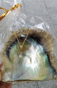 しながわ水族館に投稿された画像（2021/11/27）