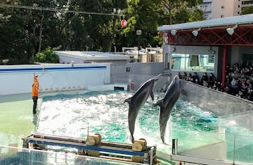しながわ水族館に投稿された画像（2021/11/27）