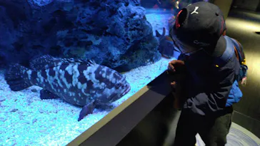 すみだ水族館に投稿された画像（2021/11/27）