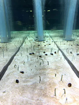 すみだ水族館に投稿された画像（2021/11/28）