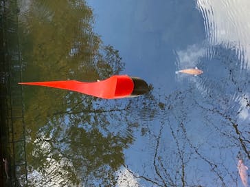 彫刻の森美術館に投稿された画像（2021/11/28）