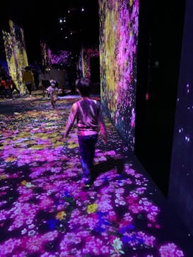 森ビル デジタルアート ミュージアム：エプソン チームラボボーダレスに投稿された画像（2021/11/28）