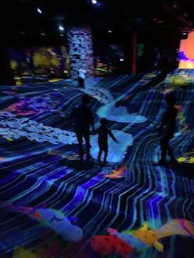 森ビル デジタルアート ミュージアム：エプソン チームラボボーダレスに投稿された画像（2021/11/28）