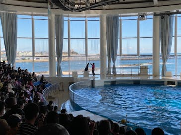 アクアワールド茨城県大洗水族館に投稿された画像（2021/11/28）