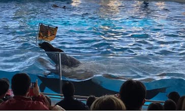 アクアワールド茨城県大洗水族館に投稿された画像（2021/11/28）